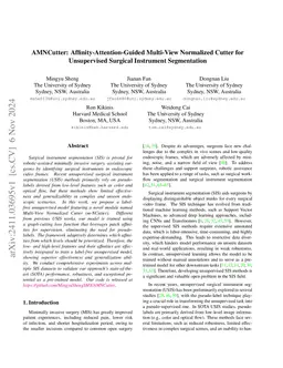 AMNCutter: Affinity-Attention-Guided Multi-View Normalized Cutter for
  Unsupervised Surgical Instrument Segmentation