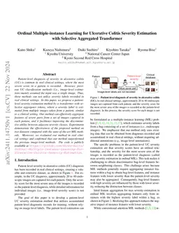 Ordinal Multiple-instance Learning for Ulcerative Colitis Severity
  Estimation with Selective Aggregated Transformer