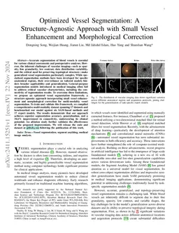 Optimized Vessel Segmentation: A Structure-Agnostic Approach with Small
  Vessel Enhancement and Morphological Correction