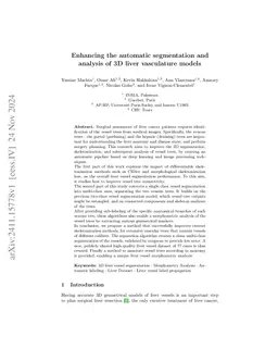 Enhancing the automatic segmentation and analysis of 3D liver vasculature models
