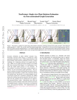 TreeFormer: Single-view Plant Skeleton Estimation via Tree-constrained
  Graph Generation