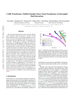 CARE Transformer: Mobile-Friendly Linear Visual Transformer via Decoupled Dual Interaction