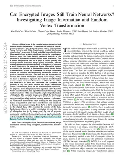 Can Encrypted Images Still Train Neural Networks? Investigating Image
  Information and Random Vortex Transformation