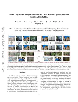 Mixed Degradation Image Restoration via Local Dynamic Optimization and
  Conditional Embedding