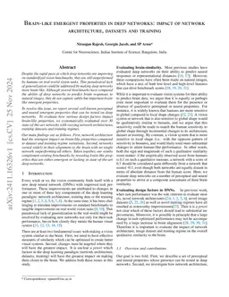 Brain-like emergent properties in deep networks: impact of network architecture, datasets and training