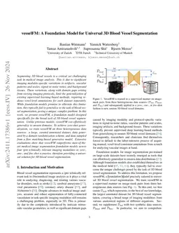 vesselFM: A Foundation Model for Universal 3D Blood Vessel Segmentation