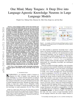 One Mind, Many Tongues: A Deep Dive into Language-Agnostic Knowledge
  Neurons in Large Language Models