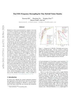 TinyViM: Frequency Decoupling for Tiny Hybrid Vision Mamba