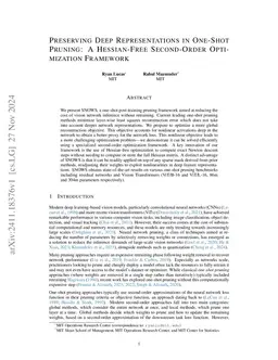 Preserving Deep Representations In One-Shot Pruning: A Hessian-Free
  Second-Order Optimization Framework