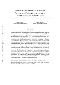 Preserving Information: How does Topological Data Analysis improve
  Neural Network performance?