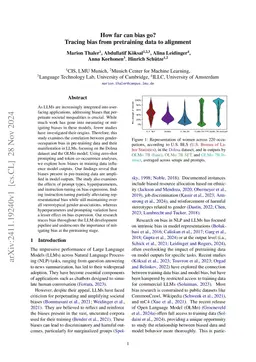 How far can bias go? -- Tracing bias from pretraining data to alignment