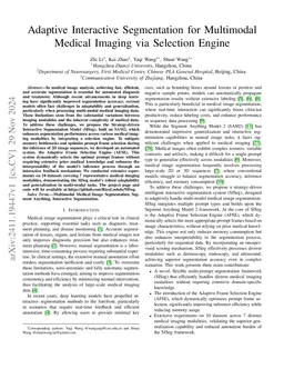 Adaptive Interactive Segmentation for Multimodal Medical Imaging via
  Selection Engine