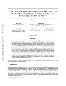 Text-Driven Weakly Supervised OCT Lesion Segmentation with Structural Guidance