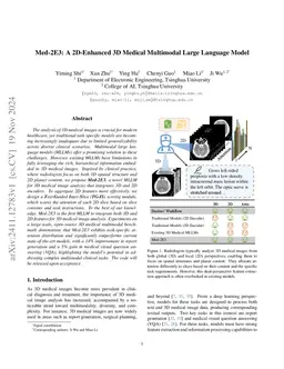 Med-2E3: A 2D-Enhanced 3D Medical Multimodal Large Language Model