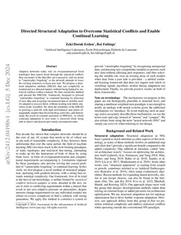 Directed Structural Adaptation to Overcome Statistical Conflicts and
  Enable Continual Learning