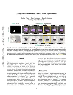 Using Diffusion Priors for Video Amodal Segmentation
