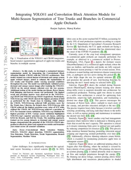 Integrating YOLO11 and Convolution Block Attention Module for
  Multi-Season Segmentation of Tree Trunks and Branches in Commercial Apple
  Orchards