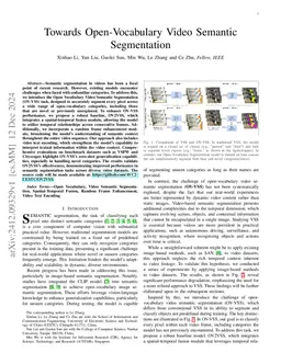 Towards Open-Vocabulary Video Semantic Segmentation