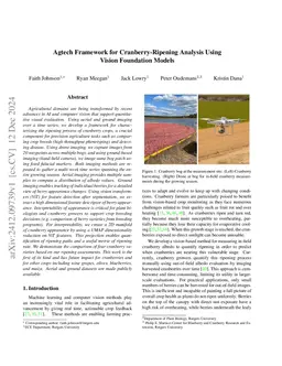 Agtech Framework for Cranberry-Ripening Analysis Using Vision Foundation
  Models