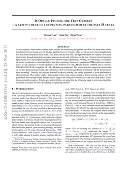 Is Oracle Pruning the True Oracle?