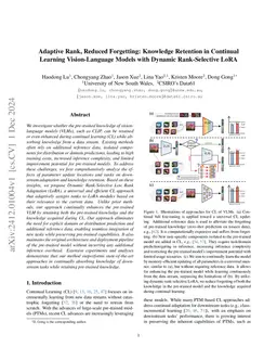 Adaptive Rank, Reduced Forgetting: Knowledge Retention in Continual Learning Vision-Language Models with Dynamic Rank-Selective LoRA