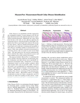 MeasureNet: Measurement Based Celiac Disease Identification