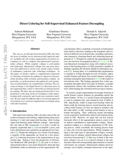 Direct Coloring for Self-Supervised Enhanced Feature Decoupling