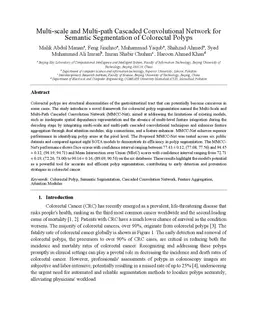 Multi-scale and Multi-path Cascaded Convolutional Network for Semantic
  Segmentation of Colorectal Polyps