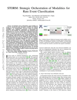 STORM: Strategic Orchestration of Modalities for Rare Event
  Classification