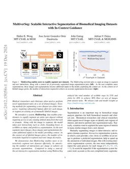 MultiverSeg: Scalable Interactive Segmentation of Biomedical Imaging Datasets with In-Context Guidance