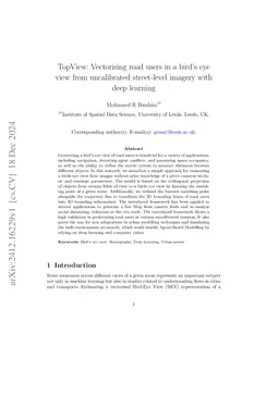 TopView: Vectorising road users in a bird's eye view from uncalibrated
  street-level imagery with deep learning