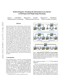 Positive2Negative: Breaking the Information-Lossy Barrier in Self-Supervised Single Image Denoising