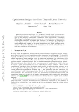Optimization Insights into Deep Diagonal Linear Networks