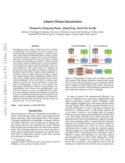 Adaptive Dataset Quantization