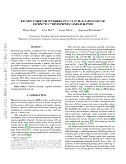 Pruning Unrolled Networks (PUN) at Initialization for MRI Reconstruction
  Improves Generalization