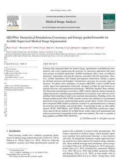 HELPNet: Hierarchical Perturbations Consistency and Entropy-guided
  Ensemble for Scribble Supervised Medical Image Segmentation