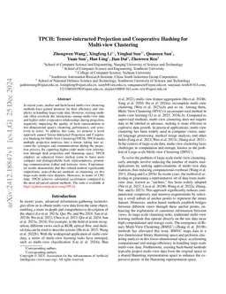 TPCH: Tensor-interacted Projection and Cooperative Hashing for
  Multi-view Clustering