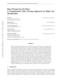 Data Pruning Can Do More: A Comprehensive Data Pruning Approach for
  Object Re-identification