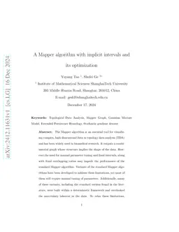 A Mapper Algorithm with implicit intervals and its optimization