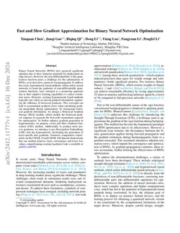 Fast and Slow Gradient Approximation for Binary Neural Network
  Optimization