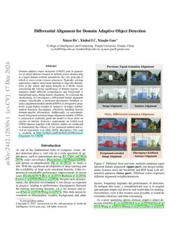 Differential Alignment for Domain Adaptive Object Detection