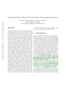 Identifying Bias in Deep Neural Networks Using Image Transforms