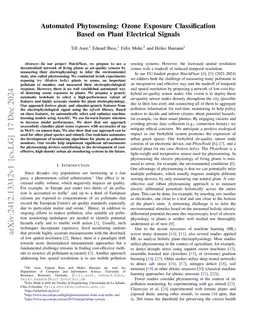 Automated Phytosensing: Ozone Exposure Classification Based on Plant
  Electrical Signals