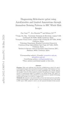 Diagnosising Helicobacter pylori using AutoEncoders and Limited
  Annotations through Anomalous Staining Patterns in IHC Whole Slide Images