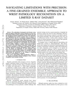 Navigating limitations with precision: A fine-grained ensemble approach
  to wrist pathology recognition on a limited x-ray dataset