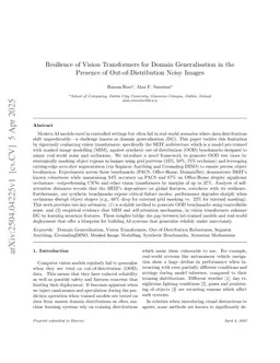 Resilience of Vision Transformers for Domain Generalisation in the Presence of Out-of-Distribution Noisy Images