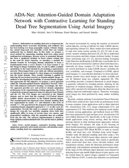 ADA-Net: Attention-Guided Domain Adaptation Network with Contrastive Learning for Standing Dead Tree Segmentation Using Aerial Imagery