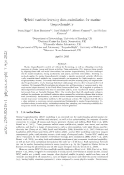 Hybrid machine learning data assimilation for marine biogeochemistry