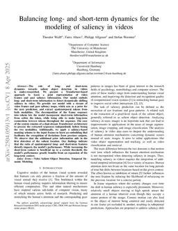 Balancing long- and short-term dynamics for the modeling of saliency in videos