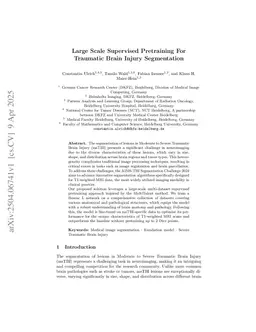 Large Scale Supervised Pretraining For Traumatic Brain Injury Segmentation
